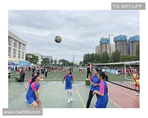 成都排球队精英赛精彩配合分析与表现评估 成都排球队精英赛精彩配合分析与表现评估